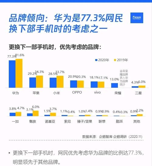 華為市場調(diào)查軟件開發(fā)策略與實踐